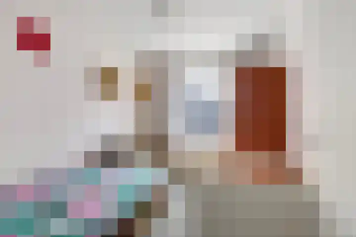 Ds. Germswei 43 Damwâld thumbnail 27