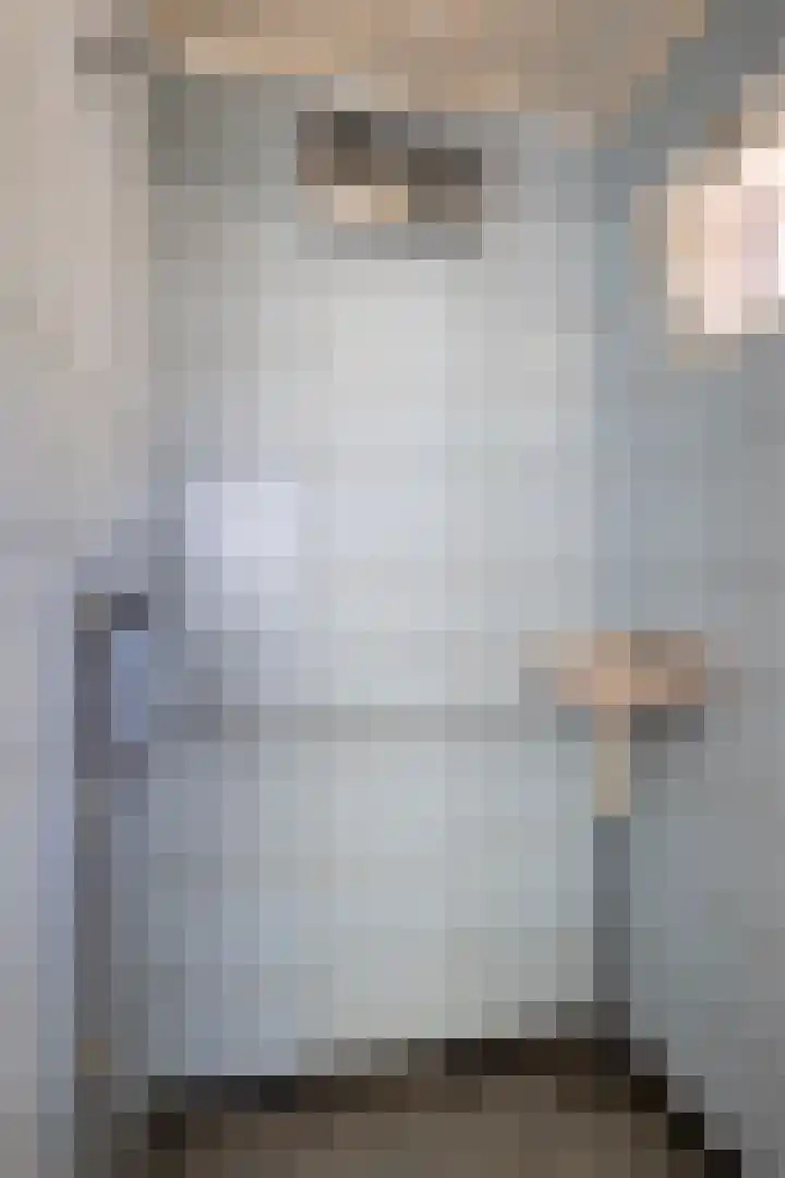 Ds. Germswei 43 Damwâld thumbnail 33