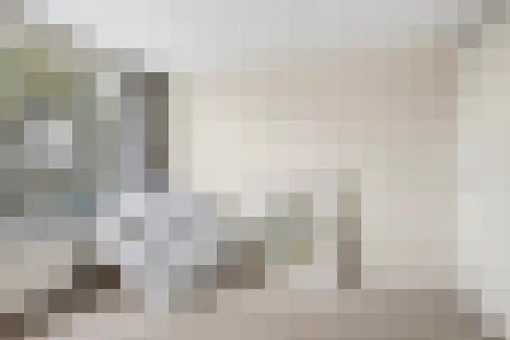 Ds. Germswei 43 Damwâld thumbnail 37