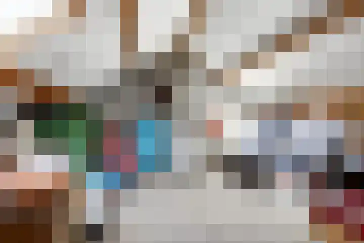 Ds. Germswei 43 Damwâld thumbnail 38