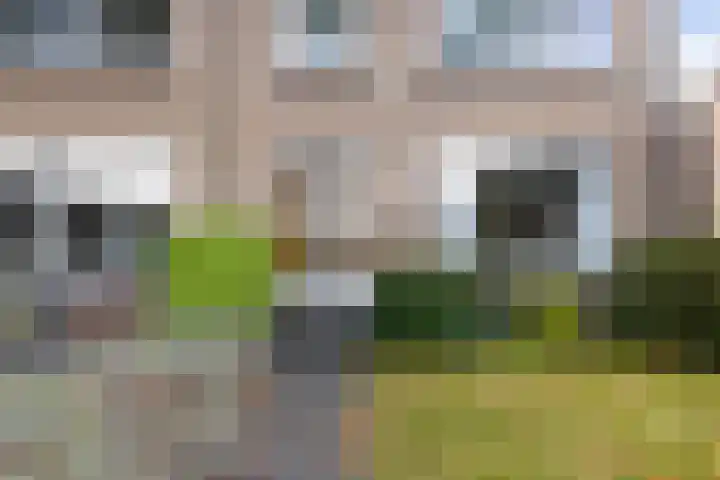 Ds. Germswei 43 Damwâld thumbnail 6