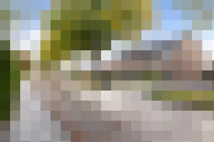 Ds. Germswei 43 Damwâld thumbnail 7