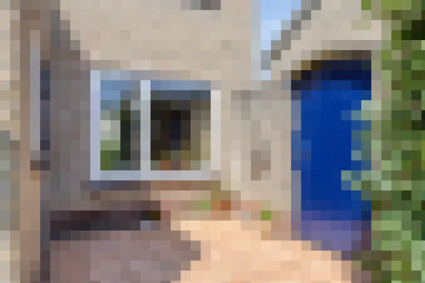 Ds.H.Boersmastraat 12 Kloetinge thumbnail 32