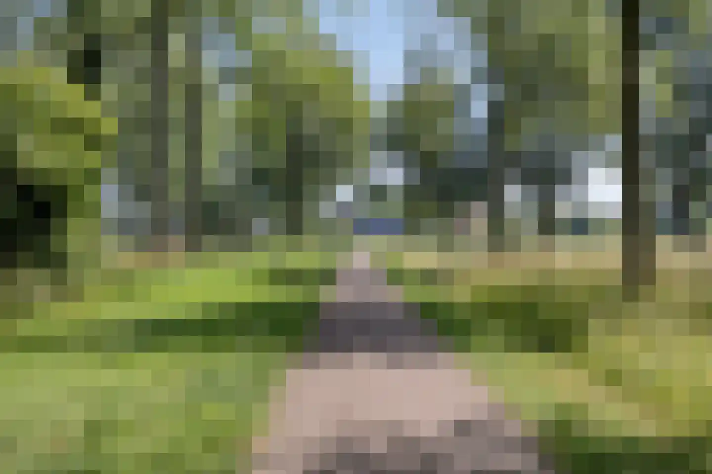 Ds.H.Boersmastraat 12 Kloetinge thumbnail 36