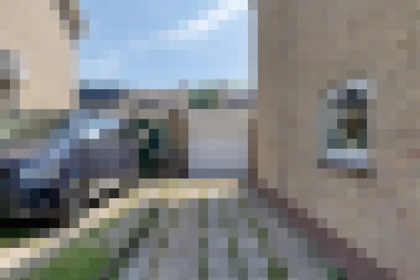 Ds.H.Boersmastraat 12 Kloetinge thumbnail 6