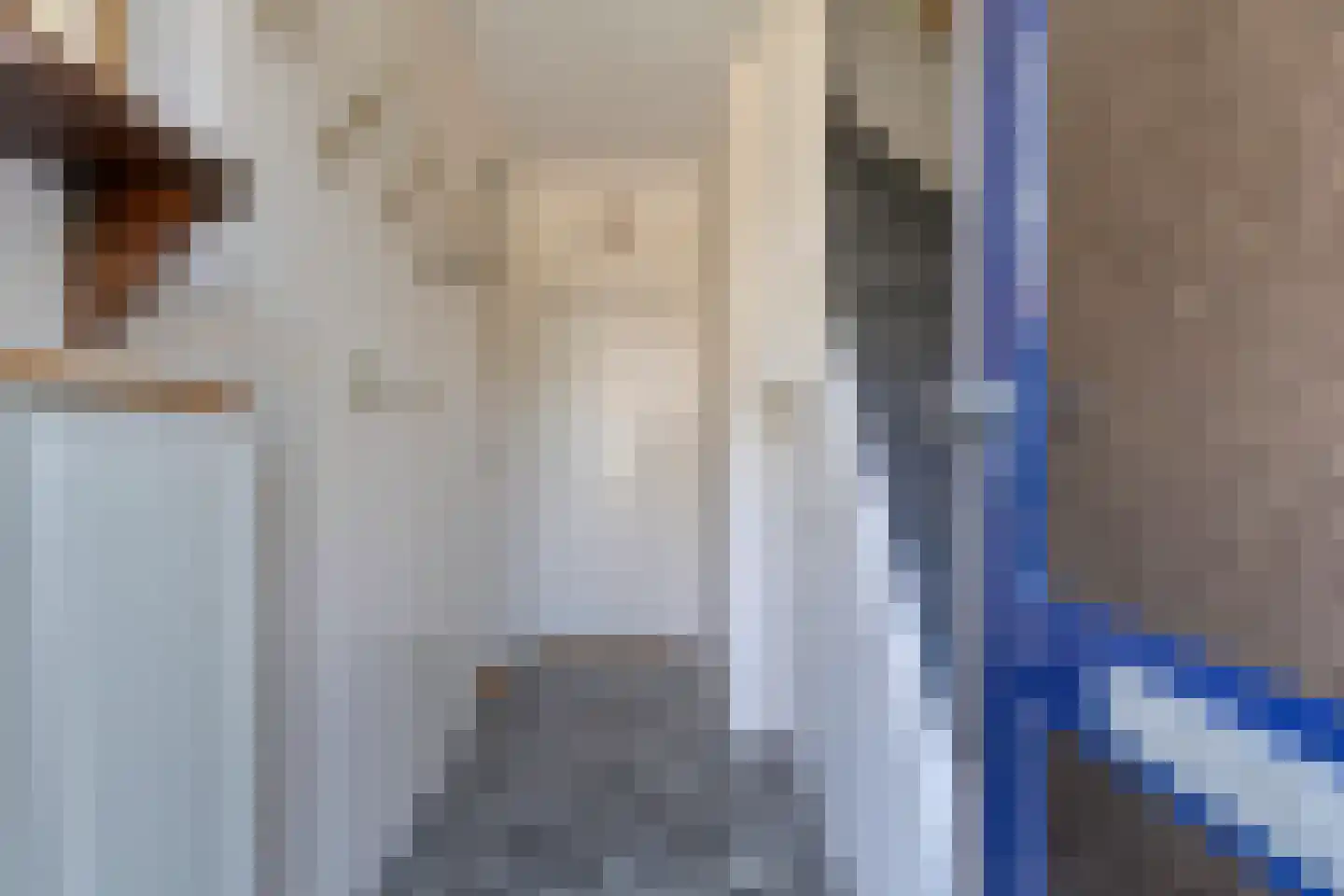 Ds.H.Boersmastraat 12 Kloetinge thumbnail 7