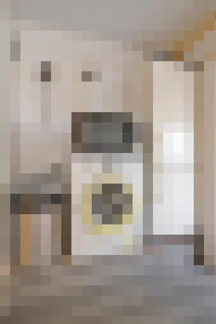 Ds H de Jagerstraat 2 Brielle thumbnail 10
