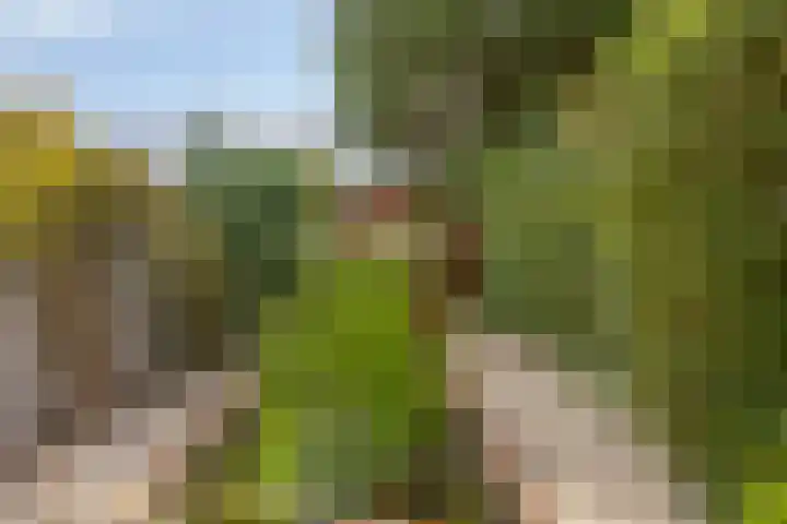 Ds H de Jagerstraat 2 Brielle thumbnail 19