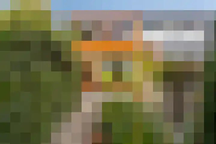 Ds H de Jagerstraat 2 Brielle thumbnail 21