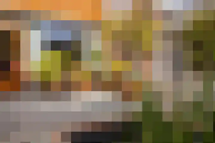 Ds H de Jagerstraat 2 Brielle thumbnail 22