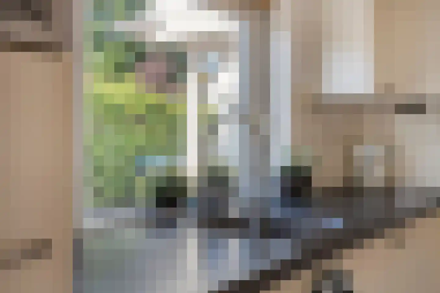 Ds. H. W. C. A. Visserleane 9 Ysbrechtum thumbnail 7