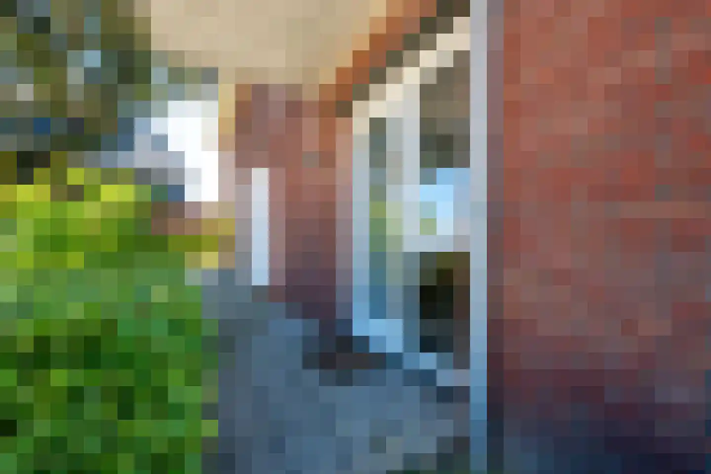 Ds Herm Pollaan 5 a Werkhoven thumbnail 31