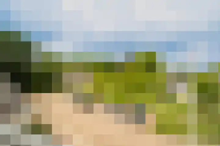Ds Herm Pollaan 9 c Werkhoven thumbnail 10