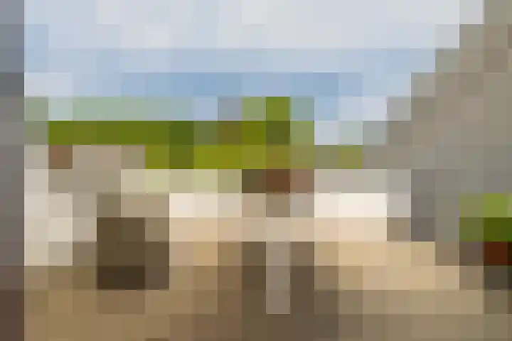 Ds Herm Pollaan 9 c Werkhoven thumbnail 7