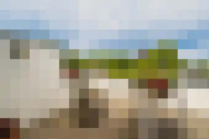 Ds Herm Pollaan 9 c Werkhoven thumbnail 8