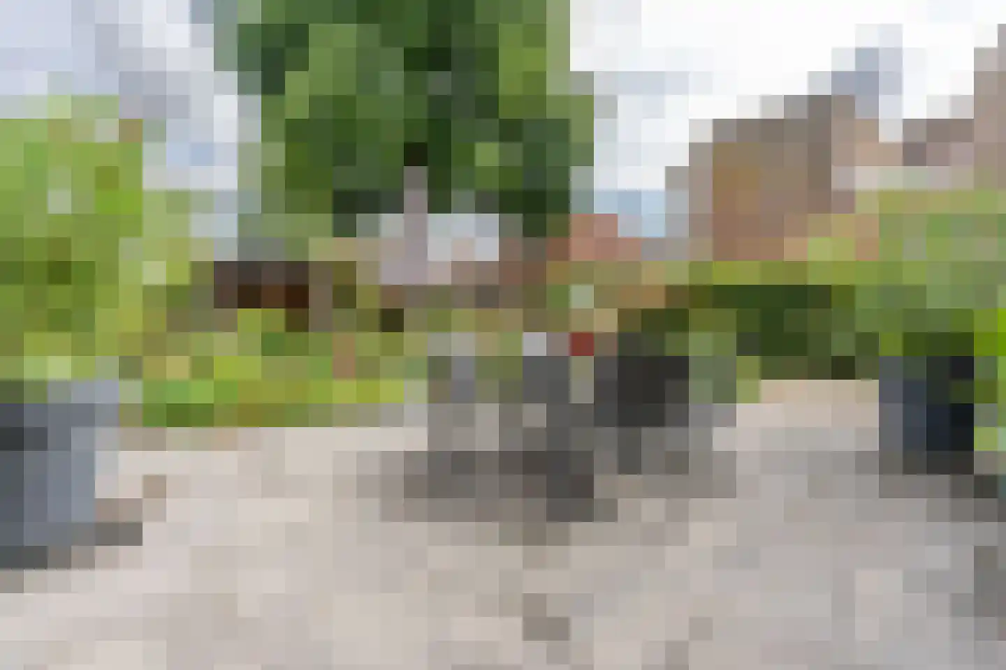 Ds Herm Pollaan 9 f Werkhoven thumbnail 44