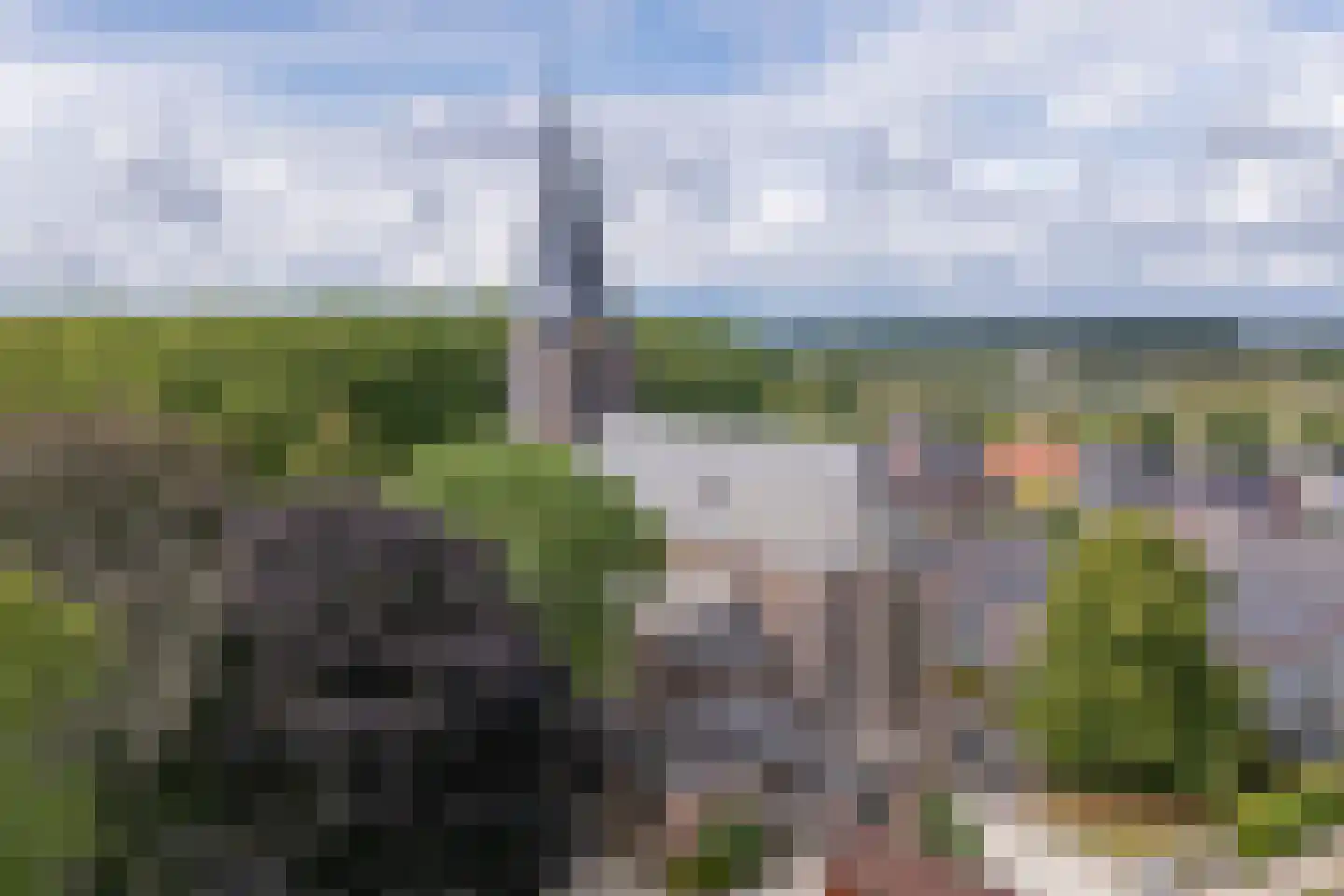 Ds Herm Pollaan 9 f Werkhoven thumbnail 49