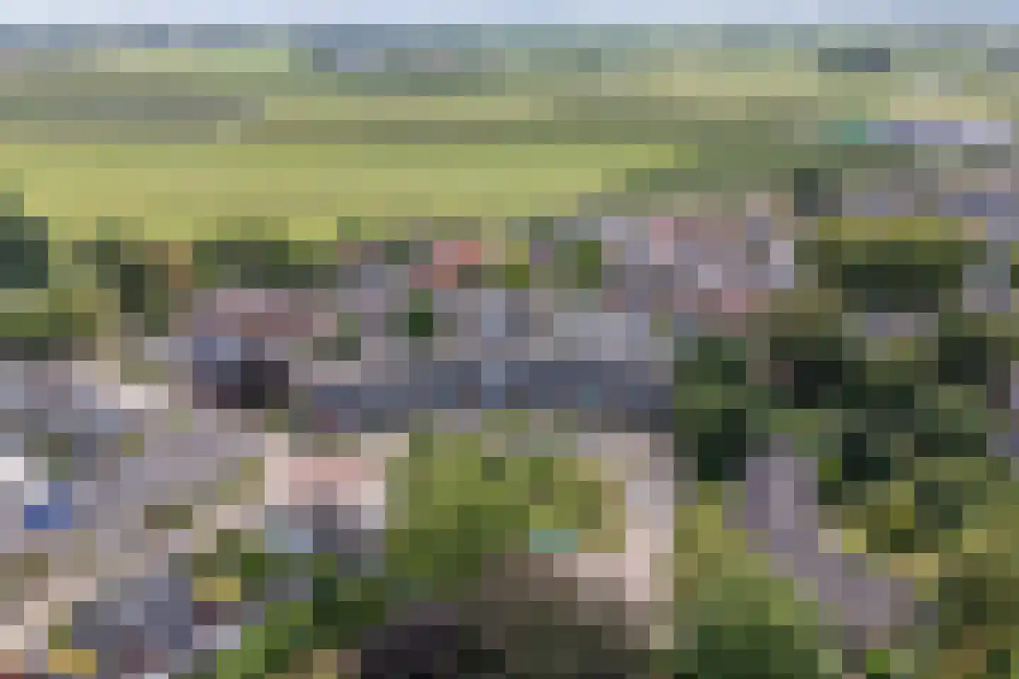 Ds Herm Pollaan 9 f Werkhoven thumbnail 53