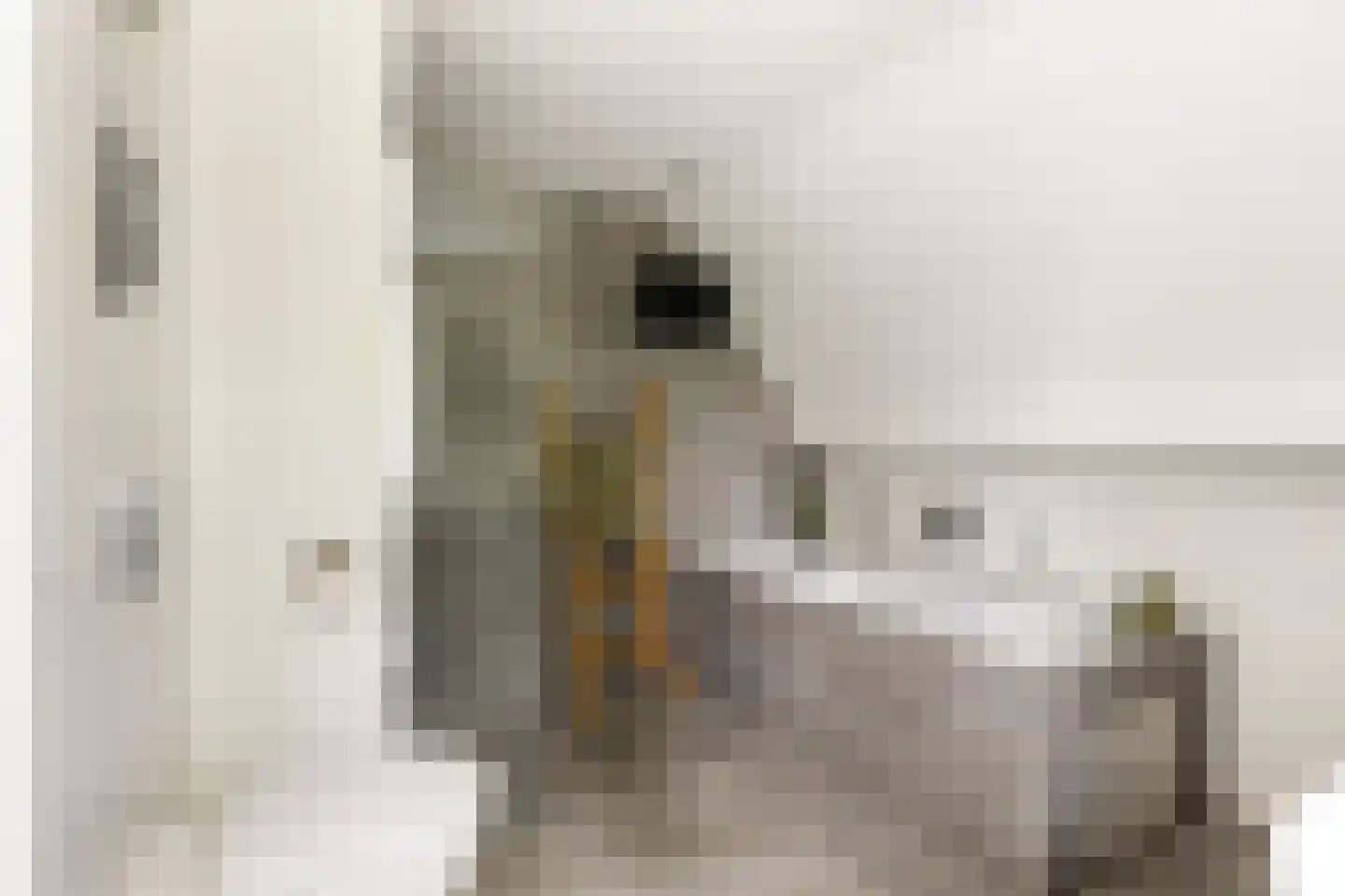Ds. Hugenholtzstraat 18 Nijkerkerveen thumbnail 33