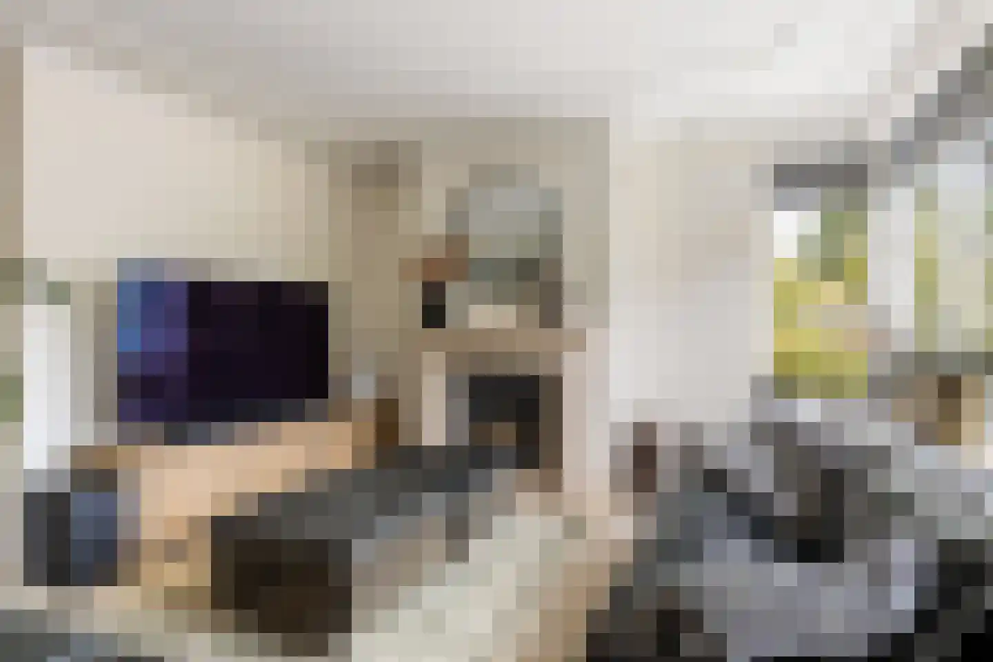 Ds. Hugenholtzstraat 18 Nijkerkerveen thumbnail 5
