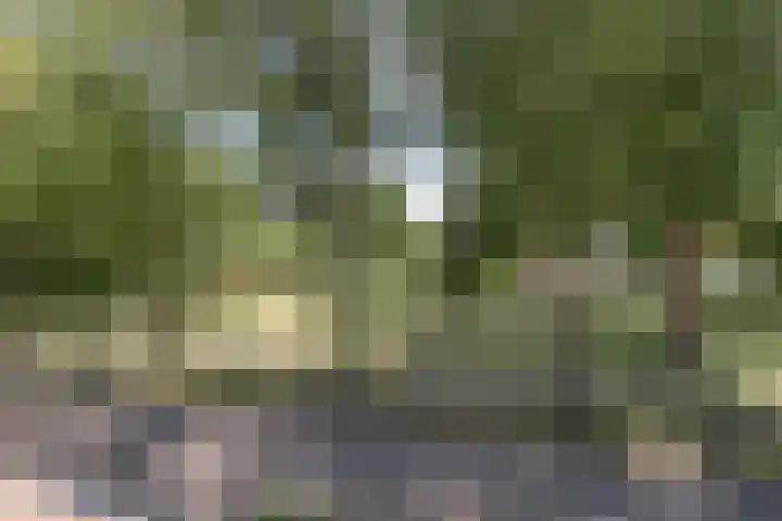 Ds. J.A. Visserstraat 11 Heerjansdam thumbnail 11
