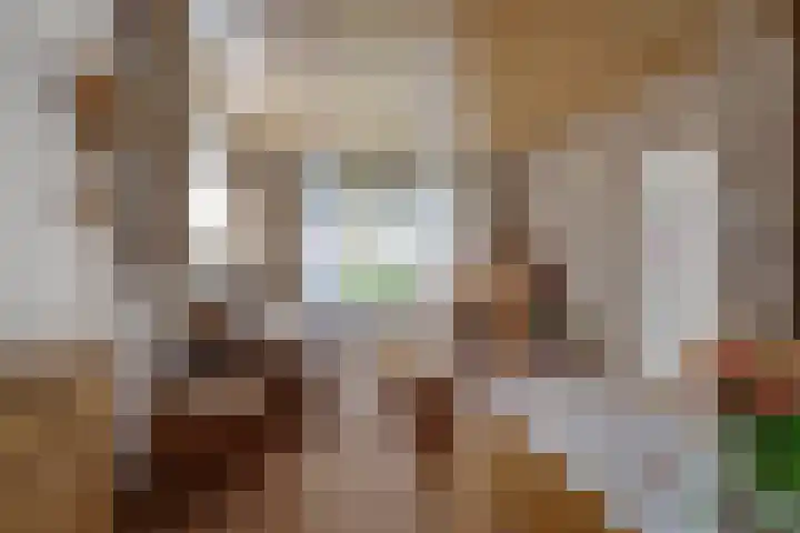 Ds J A Visserstraat 29 Lathum thumbnail 14