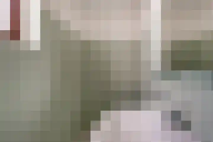 Ds J A Visserstraat 29 Lathum thumbnail 33