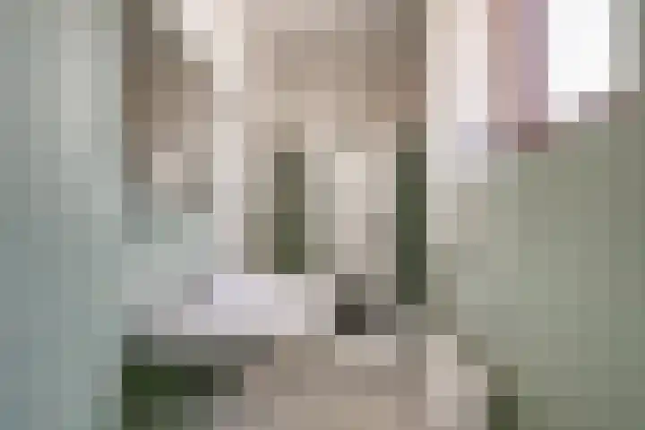 Ds J A Visserstraat 29 Lathum thumbnail 34