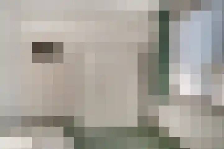 Ds J A Visserstraat 29 Lathum thumbnail 39
