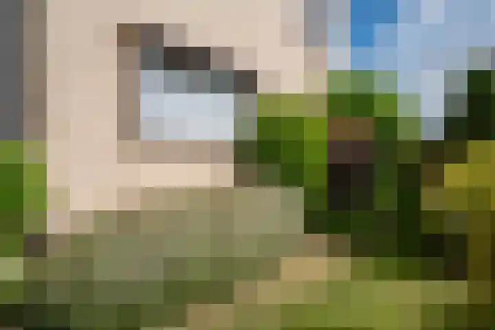 Ds J A Visserstraat 29 Lathum thumbnail 7