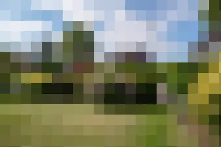 Ds J A Visserstraat 29 Lathum thumbnail 8