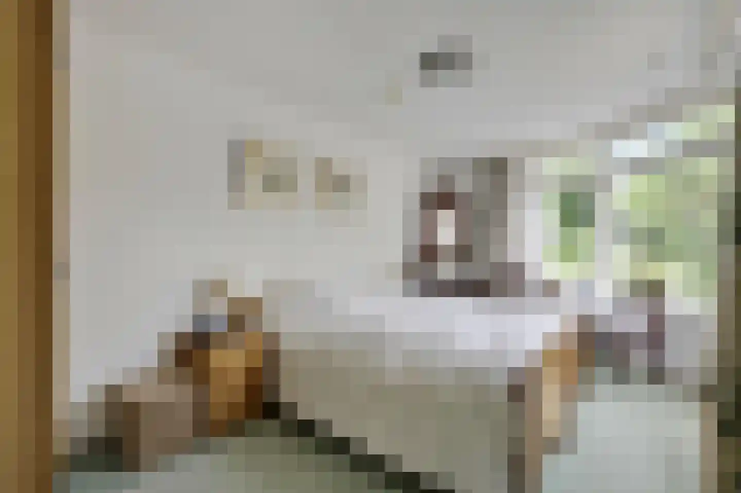 Ds J A Visserstraat 37 Lathum thumbnail 22