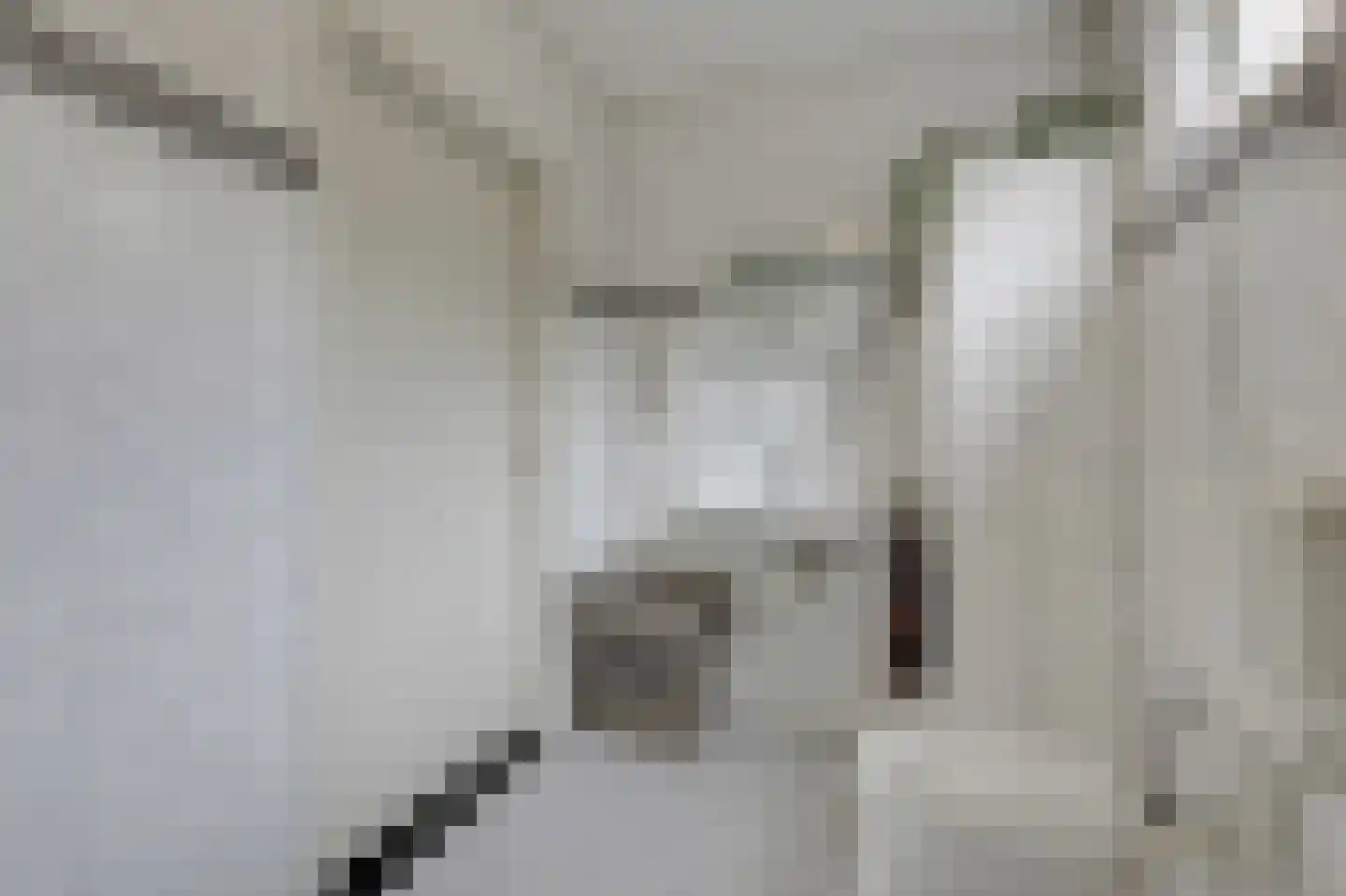 Ds J A Visserstraat 37 Lathum thumbnail 27