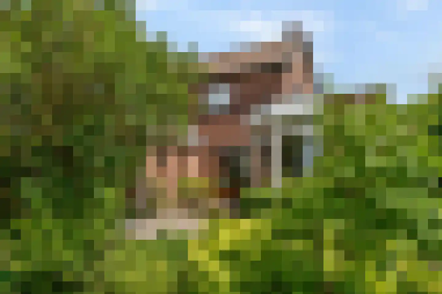 Ds J A Visserstraat 37 Lathum thumbnail 36