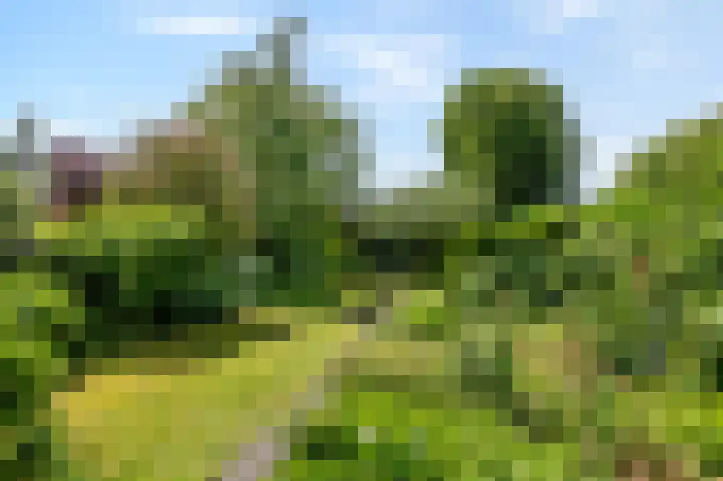 Ds J A Visserstraat 37 Lathum thumbnail 45