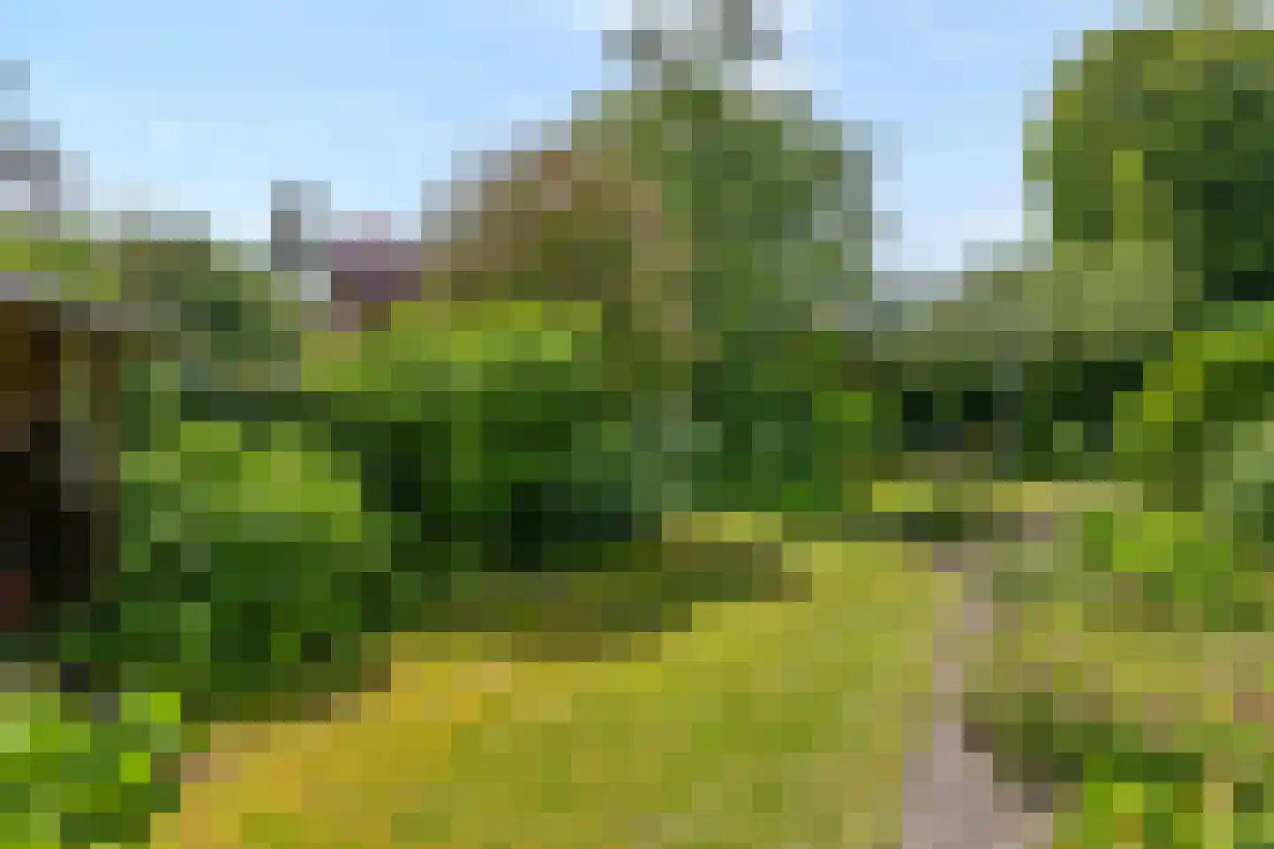 Ds J A Visserstraat 37 Lathum thumbnail 46