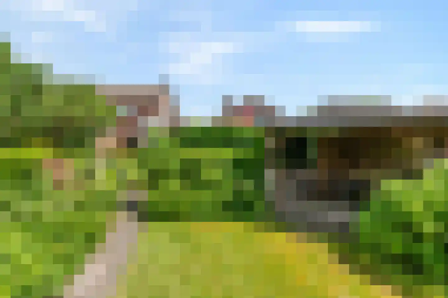 Ds J A Visserstraat 37 Lathum thumbnail 48