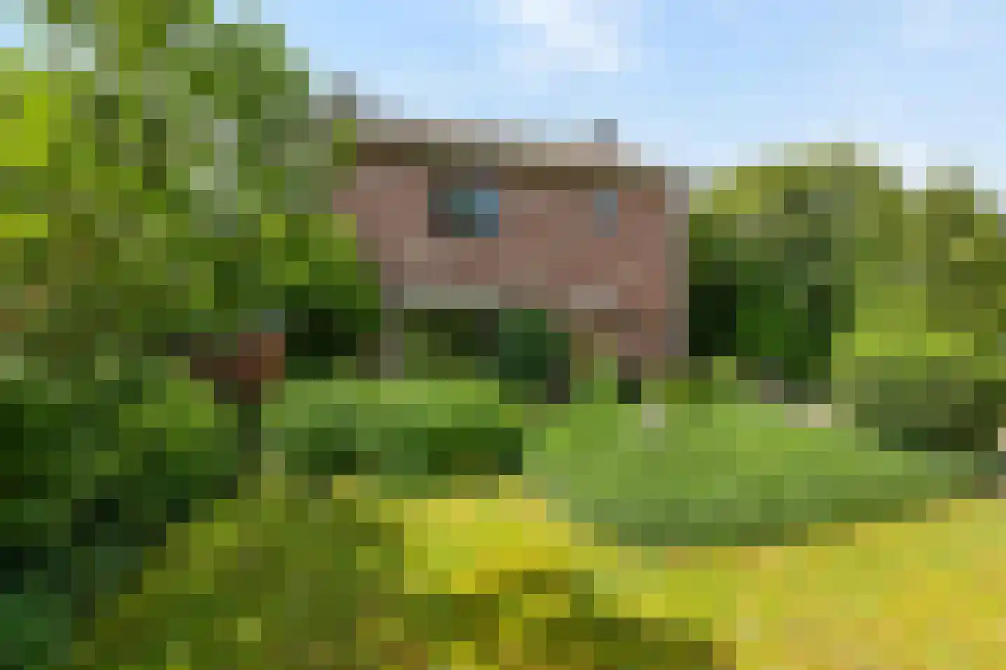 Ds J A Visserstraat 37 Lathum thumbnail 6