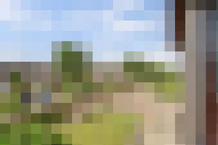 Ds J A Visserstraat 48 Lathum thumbnail 28