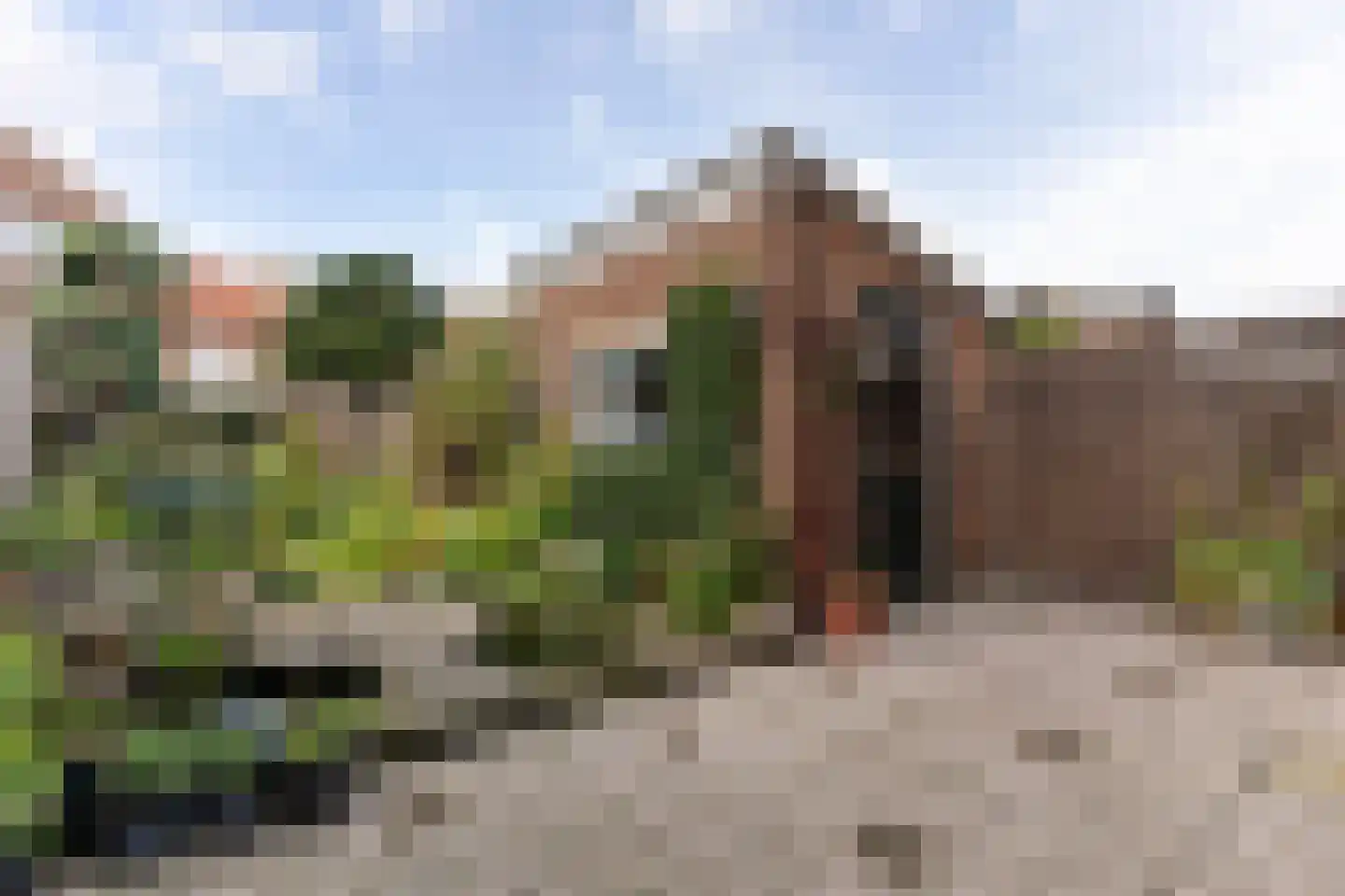 Ds. J.A. Visserstraat 5 Heerjansdam thumbnail 16