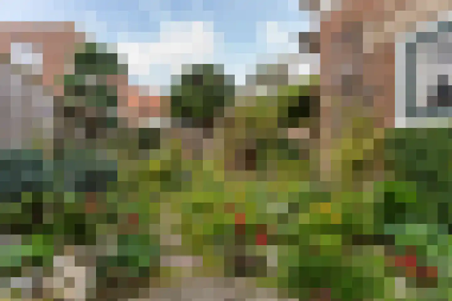 Ds. J.A. Visserstraat 5 Heerjansdam thumbnail 17