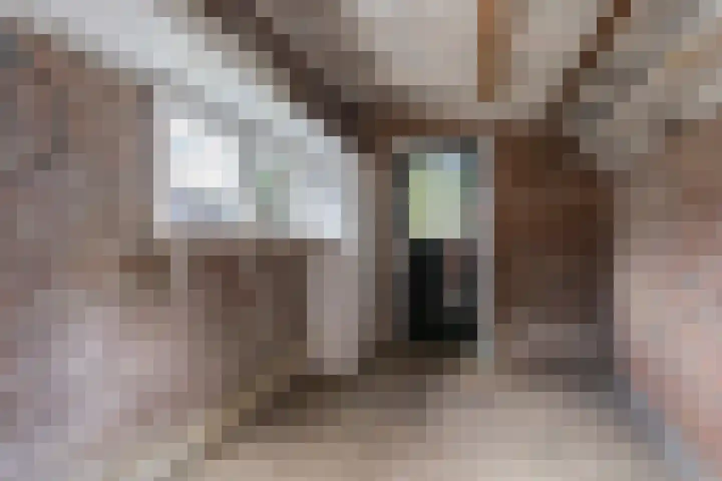 Ds. J.A. Visserstraat 5 Heerjansdam thumbnail 22