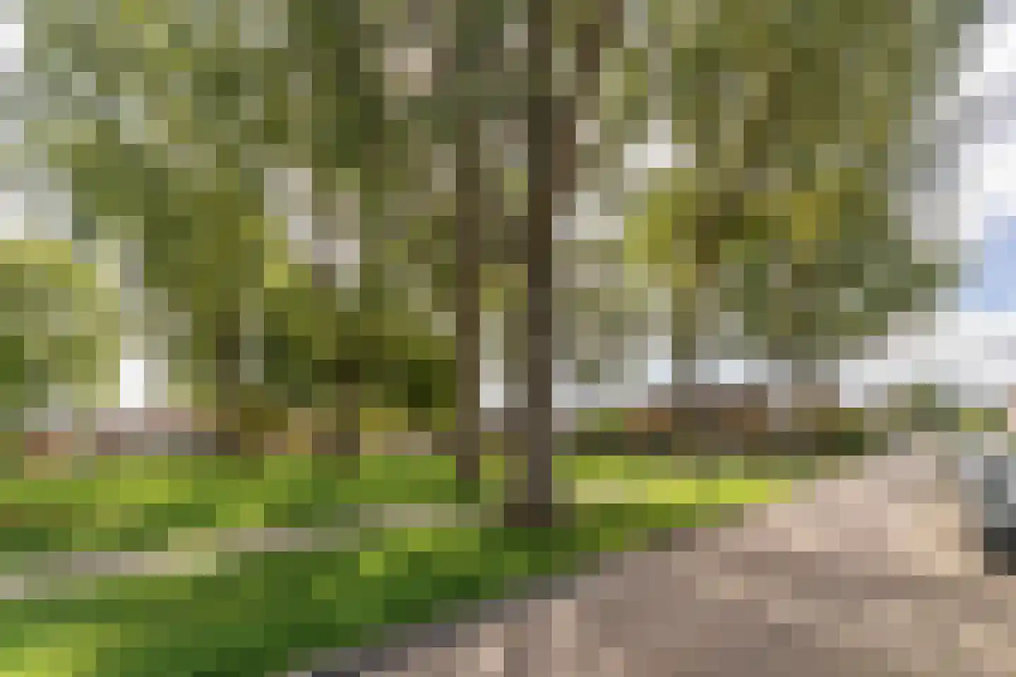 Ds. J.A. Visserstraat 5 Heerjansdam thumbnail 38