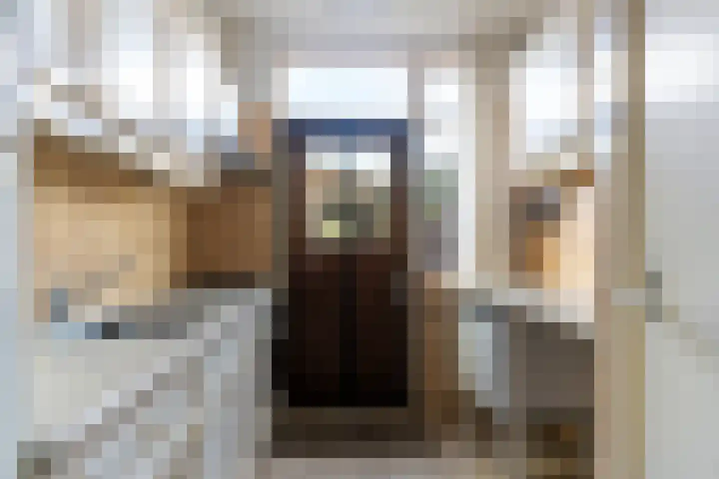 Ds. J.A. Visserstraat 5 Heerjansdam thumbnail 4