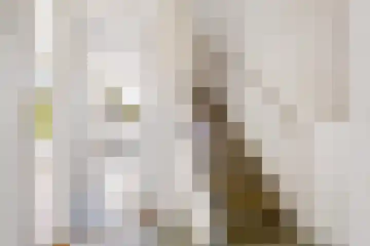 Ds J Mindenuslaan 20 Odijk thumbnail 10