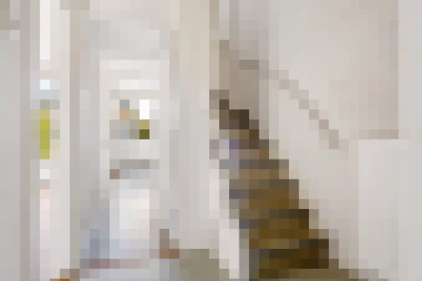 Ds J Mindenuslaan 20 Odijk thumbnail 10