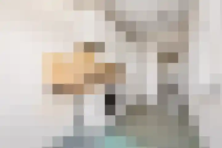 Ds J Mindenuslaan 20 Odijk thumbnail 18