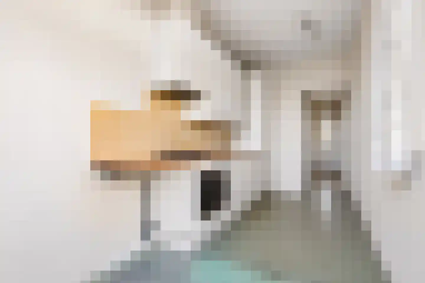 Ds J Mindenuslaan 20 Odijk thumbnail 18