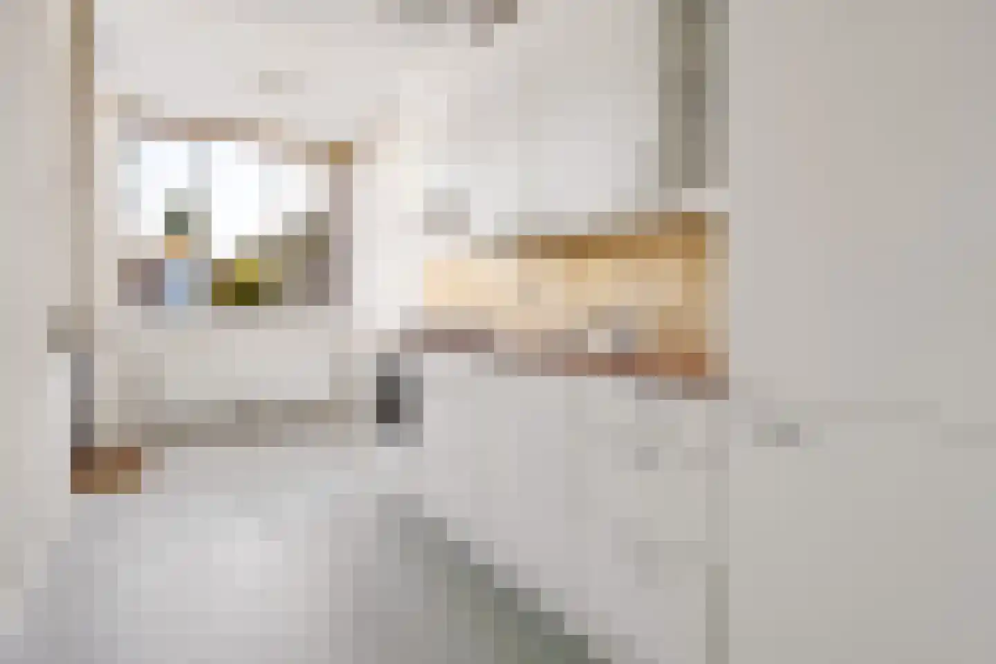 Ds J Mindenuslaan 20 Odijk thumbnail 19