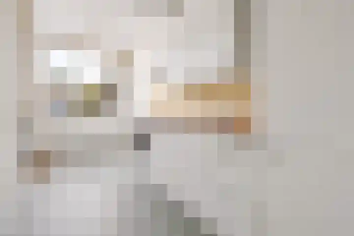 Ds J Mindenuslaan 20 Odijk thumbnail 19